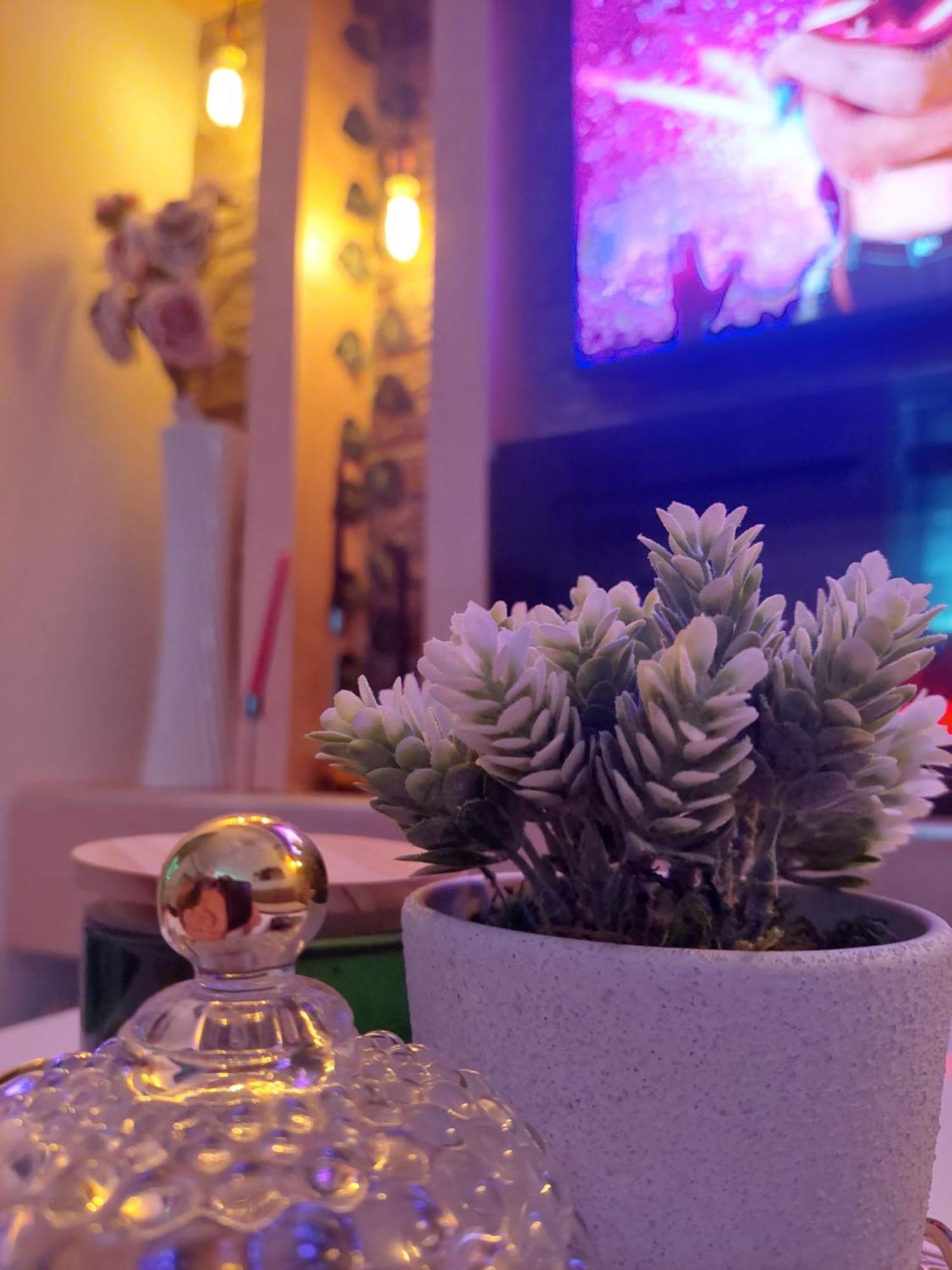Apartman Star Lux Kula Esterno foto